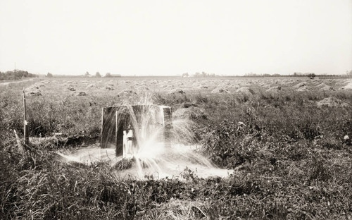 Capped Artesian Well