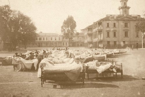 Sleeping out in the Yard, April 19, 1906