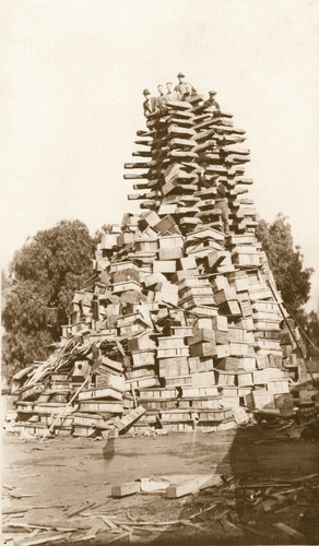 Building the Bonfire, 1919