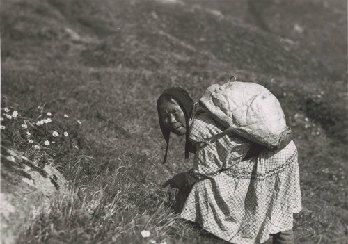 Picking greens