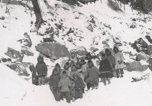 Gathering on the rocky shore