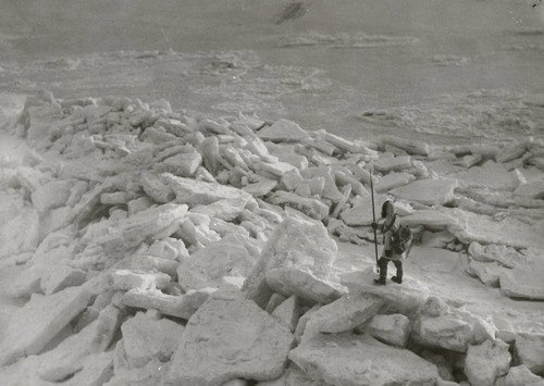 Ice pack off King Island