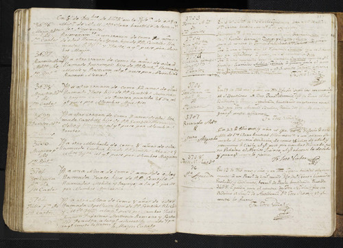 Mission Santa Clara Baptism Records 0294