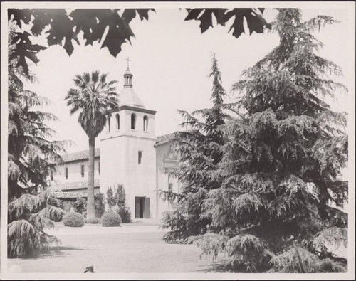 Mission Tower and Trees