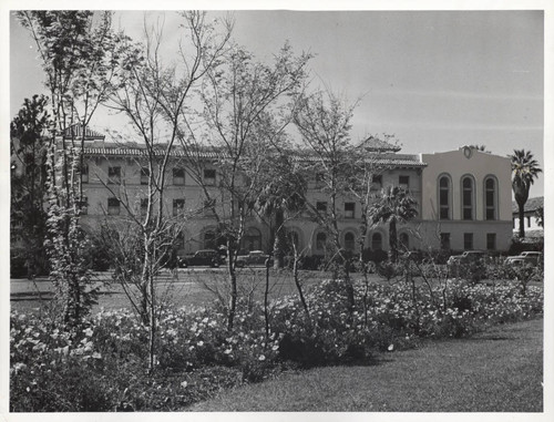 Trees and St. Joseph Facade