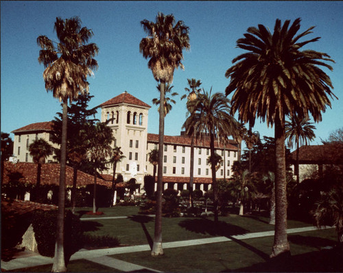 Palm Trees and Nobili Hall