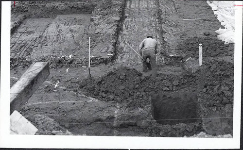 Worker Digging