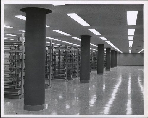 Empty Bookshelves