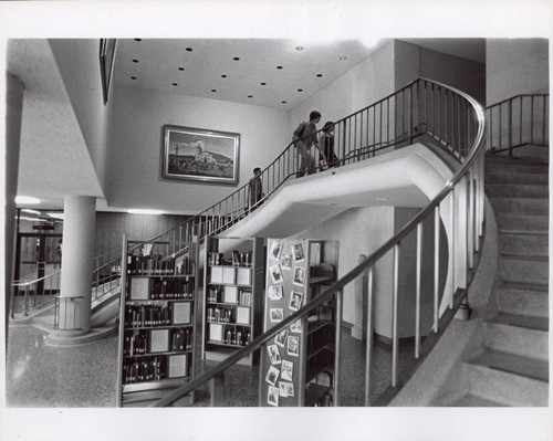 Bookshelves Under Staircase