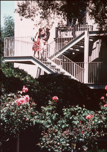 Roses and O'Connor Stairs