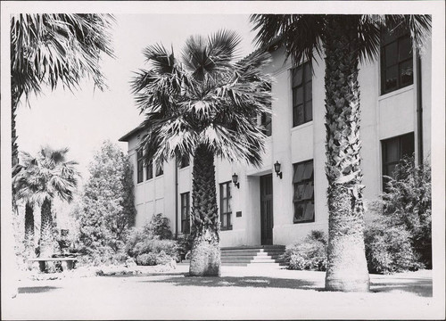 Side Steps of Bergin Hall