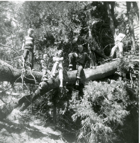 Father and children on fallen oak tree in Topanga, California