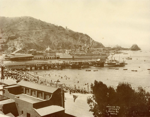 Bustling Avalon Harbor, California