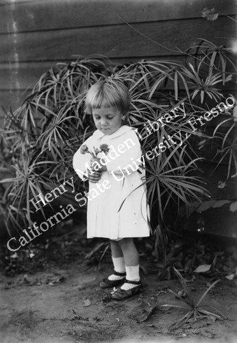 Toddler looking at flowers