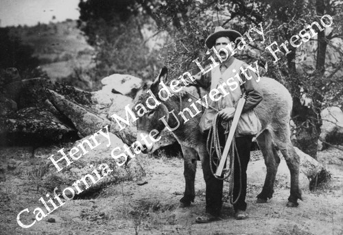 Man with donkey