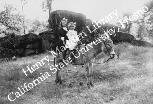 Two girls on a donkey