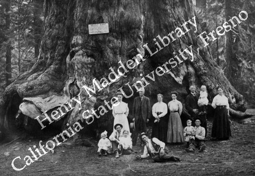 Families at the giant redwood