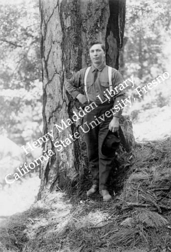 Young man in front of pine