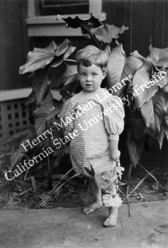 Another young boy with a rose