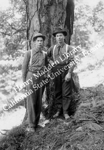 Two young men in front of pine