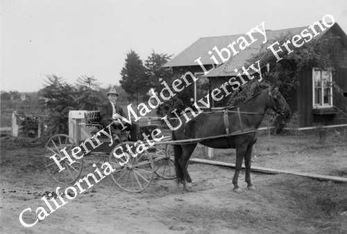 Man in horse-drawn carriage #2