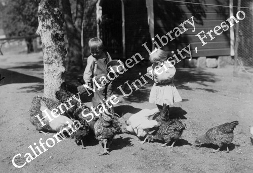 Children and chickens