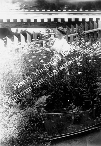 Woman pulling off daisy petals