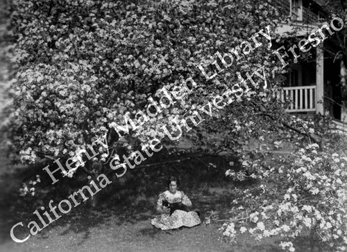 Woman sitting under tree with cat