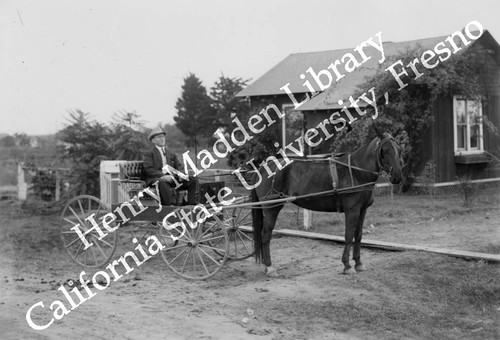 Man in horse-drawn carriage #1