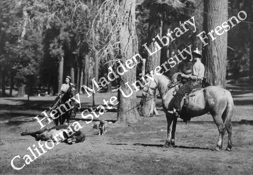 Man on grey horse