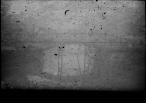 Bridge in Japanese garden