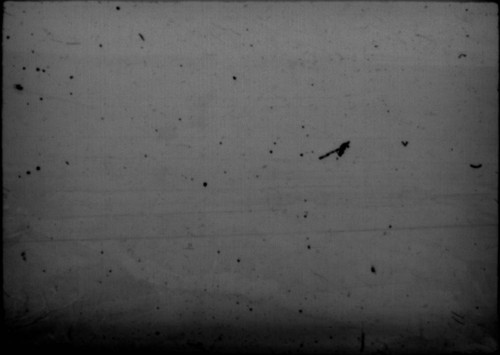 View of the Grand Canyon