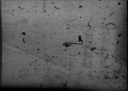 View of cluster of barrels?