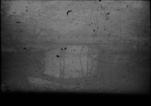 Bridge in Japanese garden