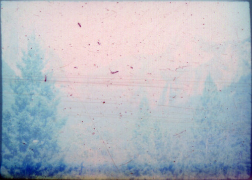 View of Yosemite Valley