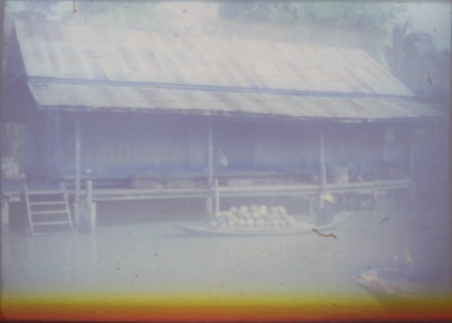 Unidentified person paddling canoe