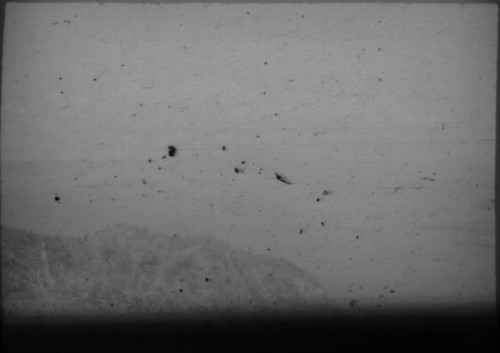 View of harbor in unidentified city