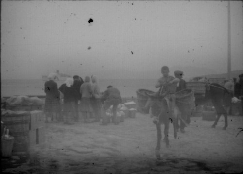 People gathered at harbor