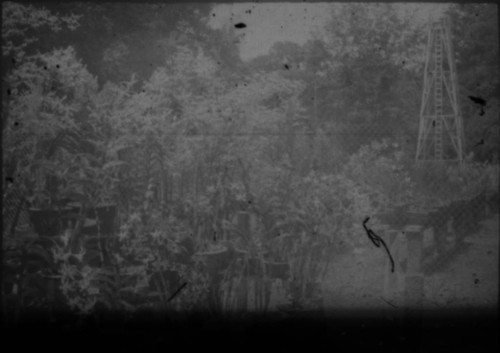 View of nursery or garden