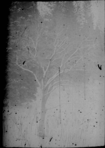 View of mountain winter scene