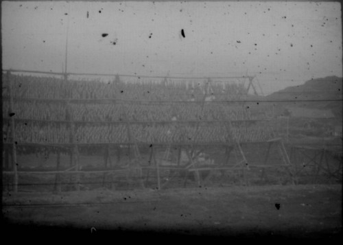 View of wood structure