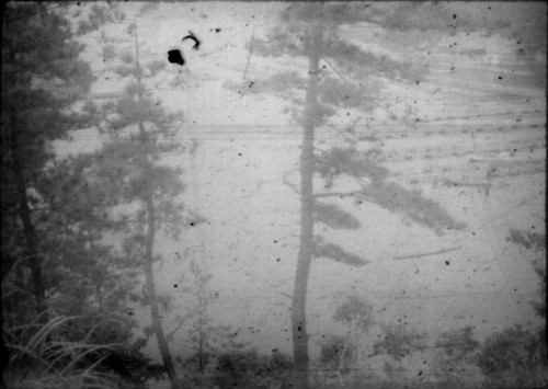 View of landscape in Japan