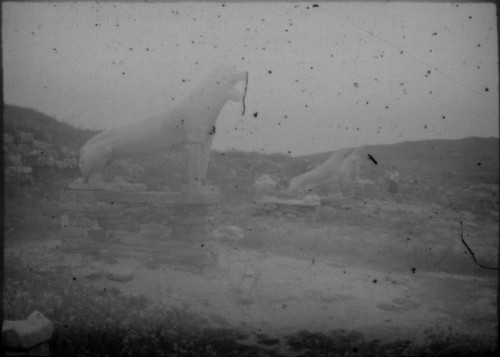 Group of lion statues