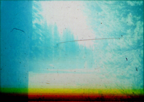 View of road in Yosemite National Park