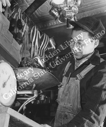 Former Los Angeles fruit and vegetable clerk Joe Sitsuda weighing nails in Union Hardwar Store, Denver, CO