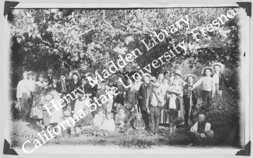 Group of people under the Banyan tree