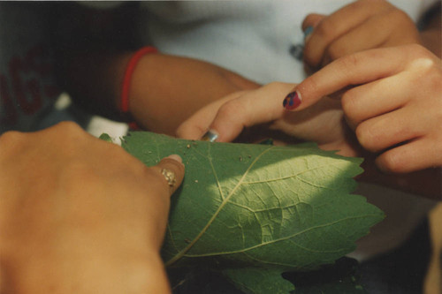 Campus activities and events-New campus-Agricultural Summer Seminar-0016