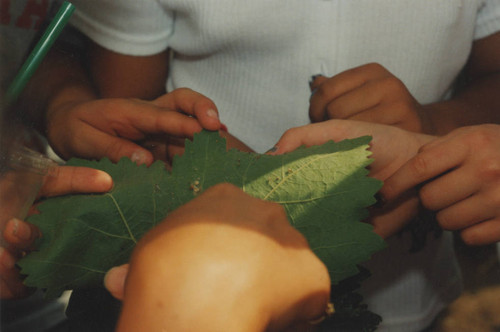 Campus activities and events-New campus-Agricultural Summer Seminar-0008