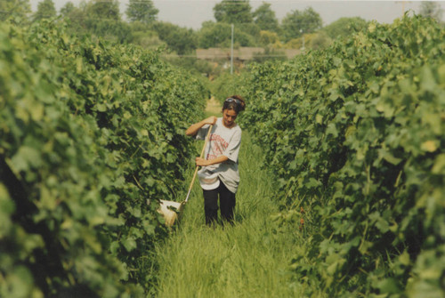 Campus activities and events-New campus-Agricultural Summer Seminar-0021