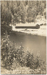 Fish hatchery on Burney Creek, 18 mi from Fall River Mills, Calif